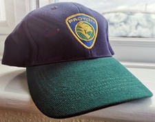 Original Qualität Proton Cars